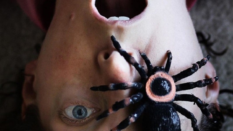 боязнь пауков фобия